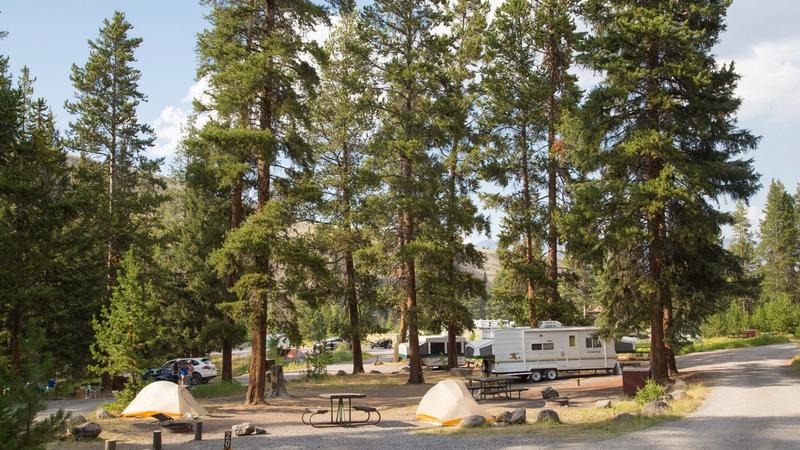 Exploring the Pacific Northwest: Camping Market Owner Insights