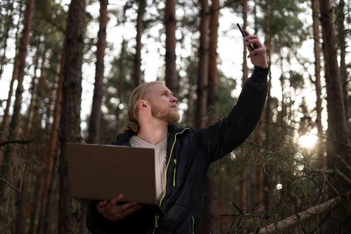 Man holding laptop in forest, raising smartphone to check signal strength among tall trees.