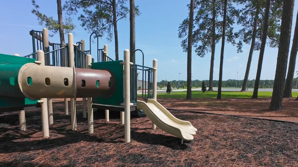 Playground with tan tube slide, green and burgundy structures, and tall pine trees surrounding an open grassy field under clear blue sky.