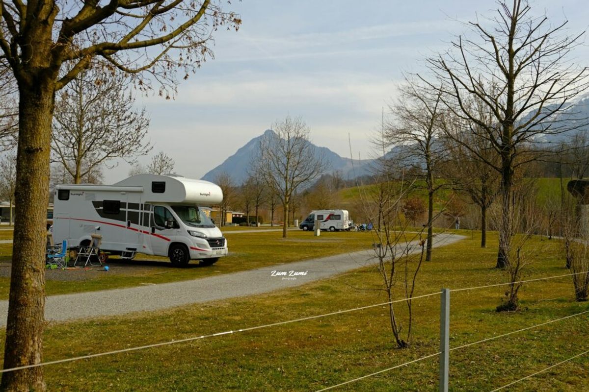 a group of camper vans in memorial day