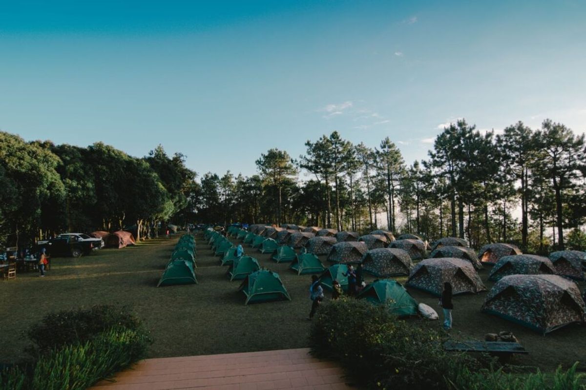 Organized campsite with multiple teal dome tents on grassy field surrounded by tall pine trees under clear blue sky.