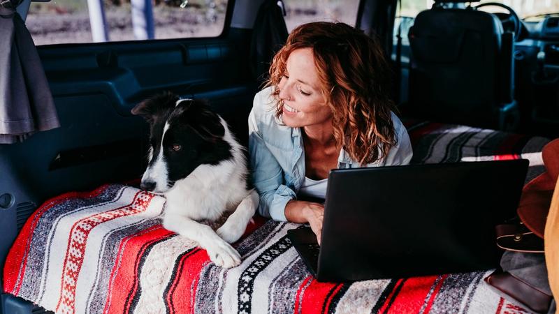 Building a Dog Run in Your RV Park: A Step-by-Step Guide to Attracting Pet-Loving Campers