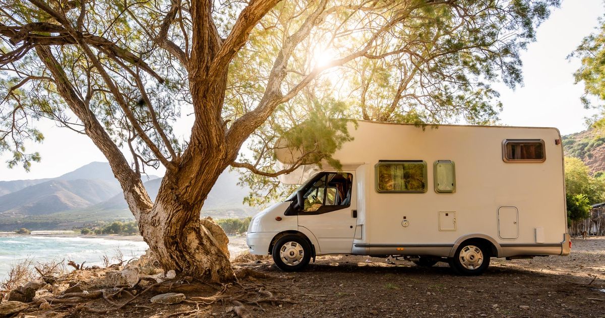 white camper next to a tree in nature