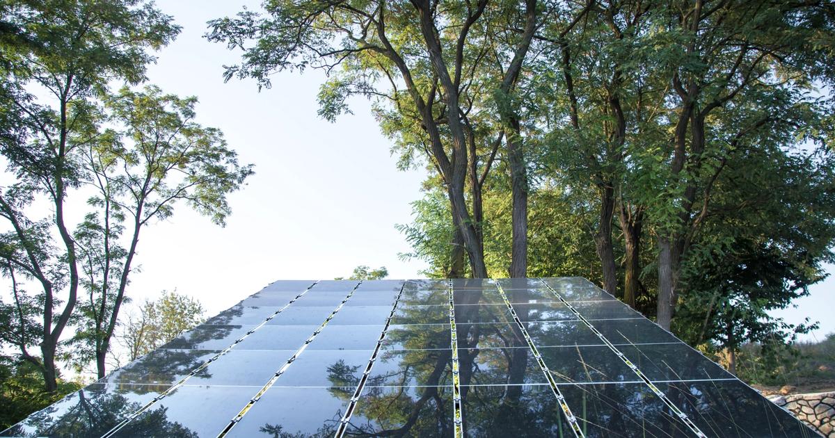 Large solar panel array mounted on angled frame among tall trees, reflecting sky and forest canopy.