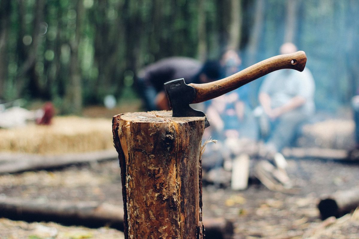 Provide free firewood for campers