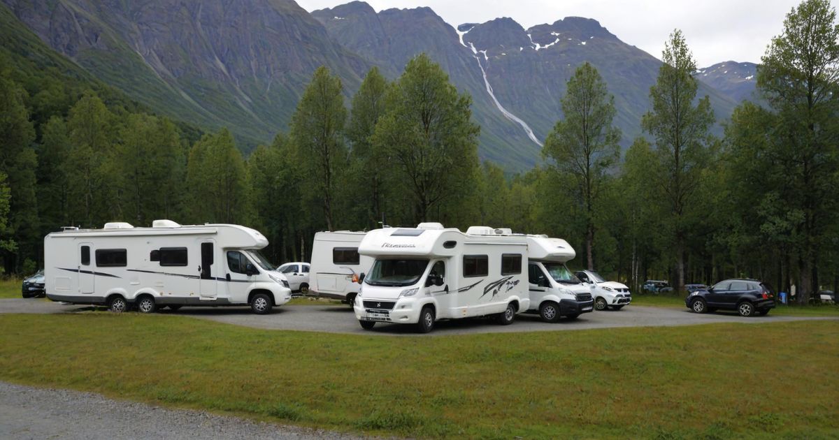 a bunch of camper vans staying in a RV park using reservation software