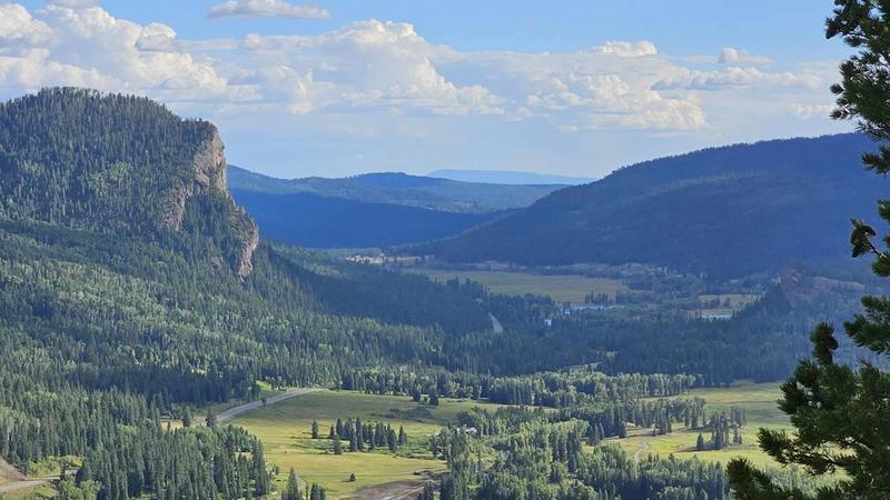 A Comprehensive Guide to Choosing Campground Reservation Software