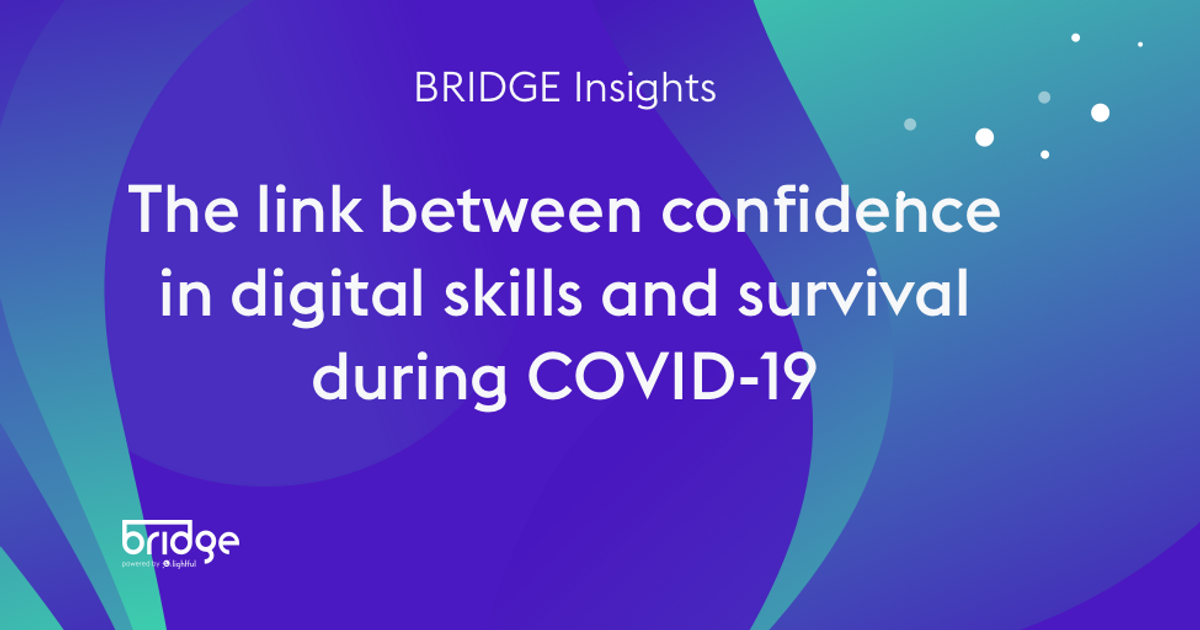 BRIDGE Insights – The link between confidence in digital skills and ...