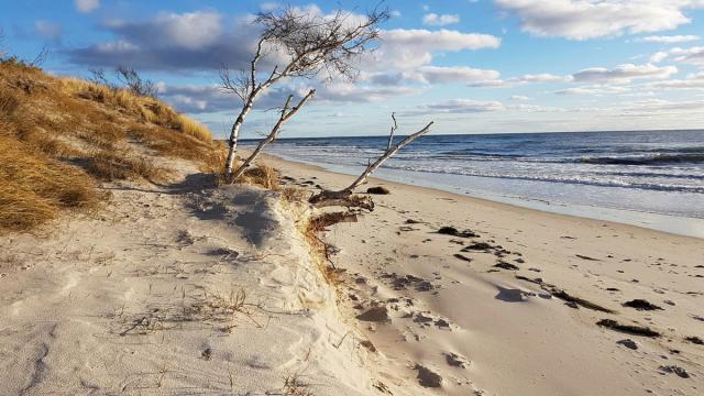 Strand på Österlen