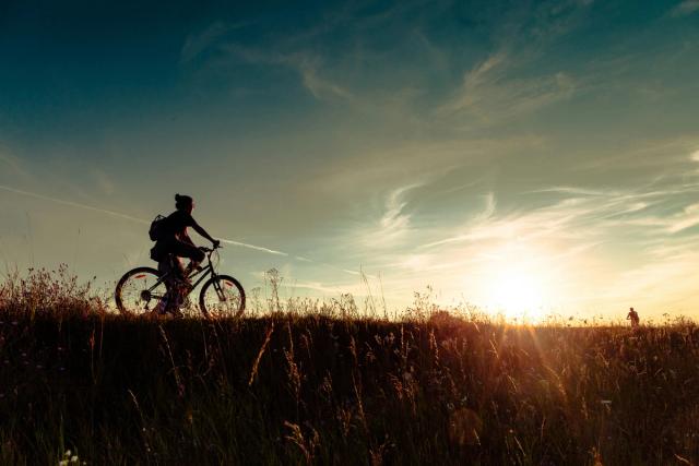 Cyklist i siluett cyklar genom en sommaräng vid solnedgången på Österlen