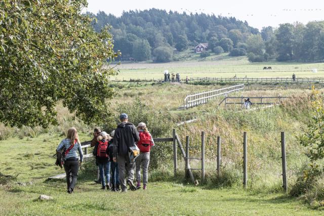 vandring på Österlen