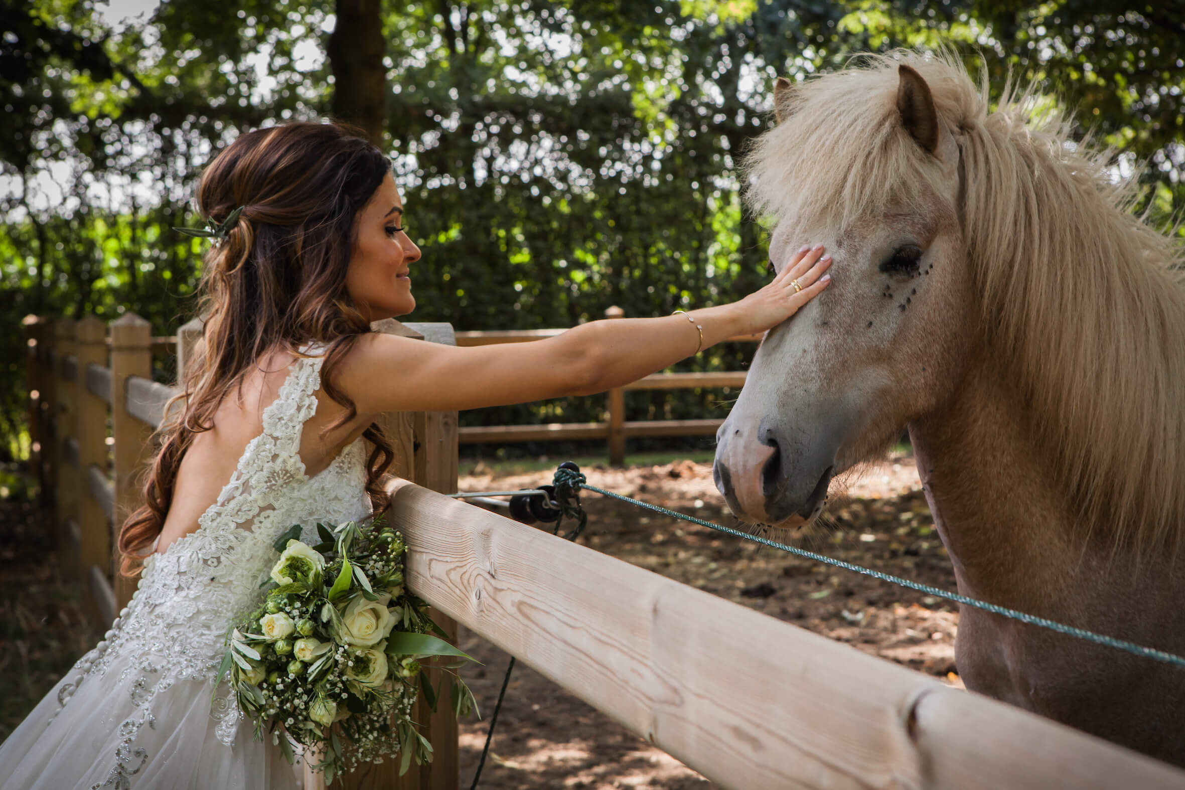 Missing alternative text