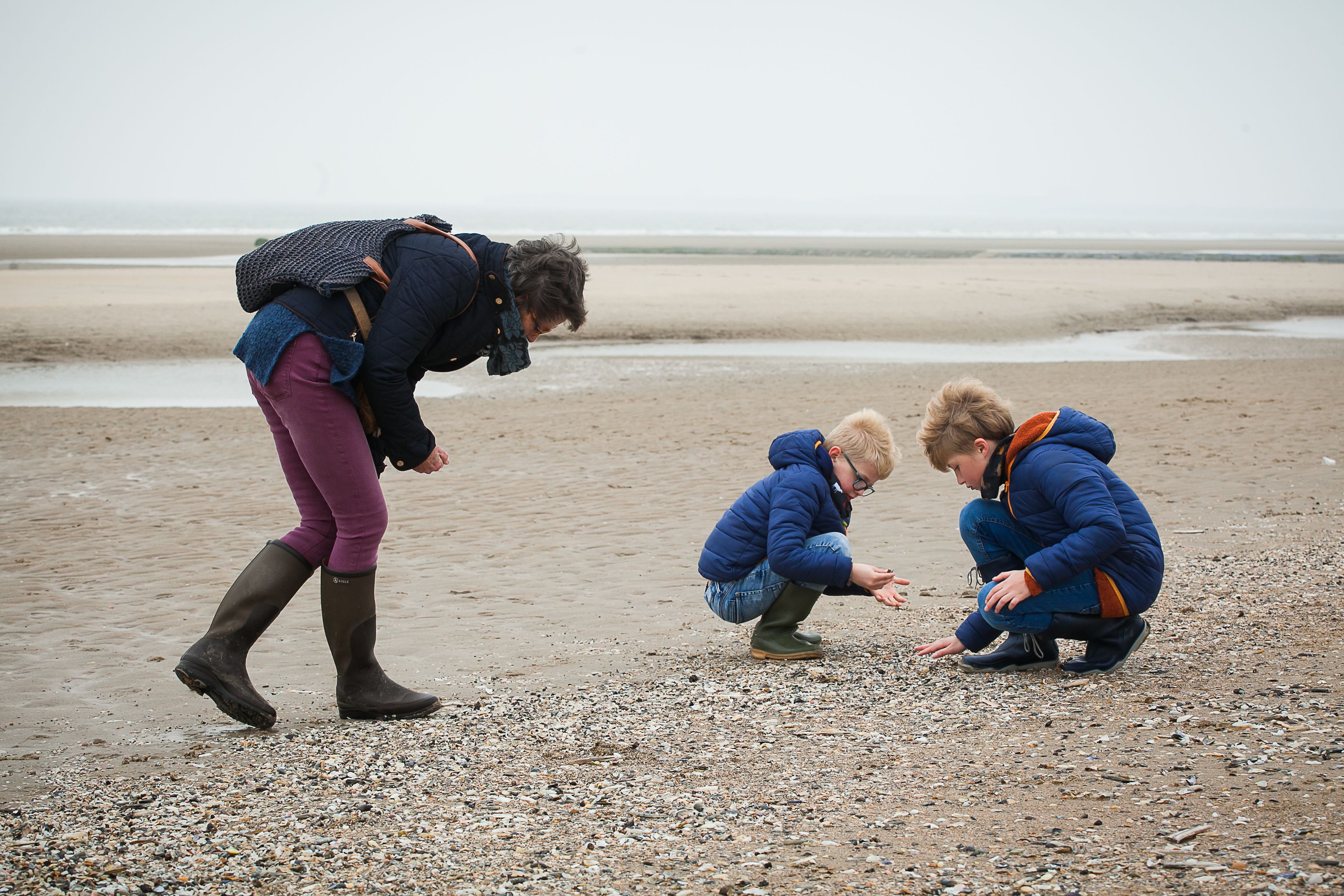 Missing alternative text