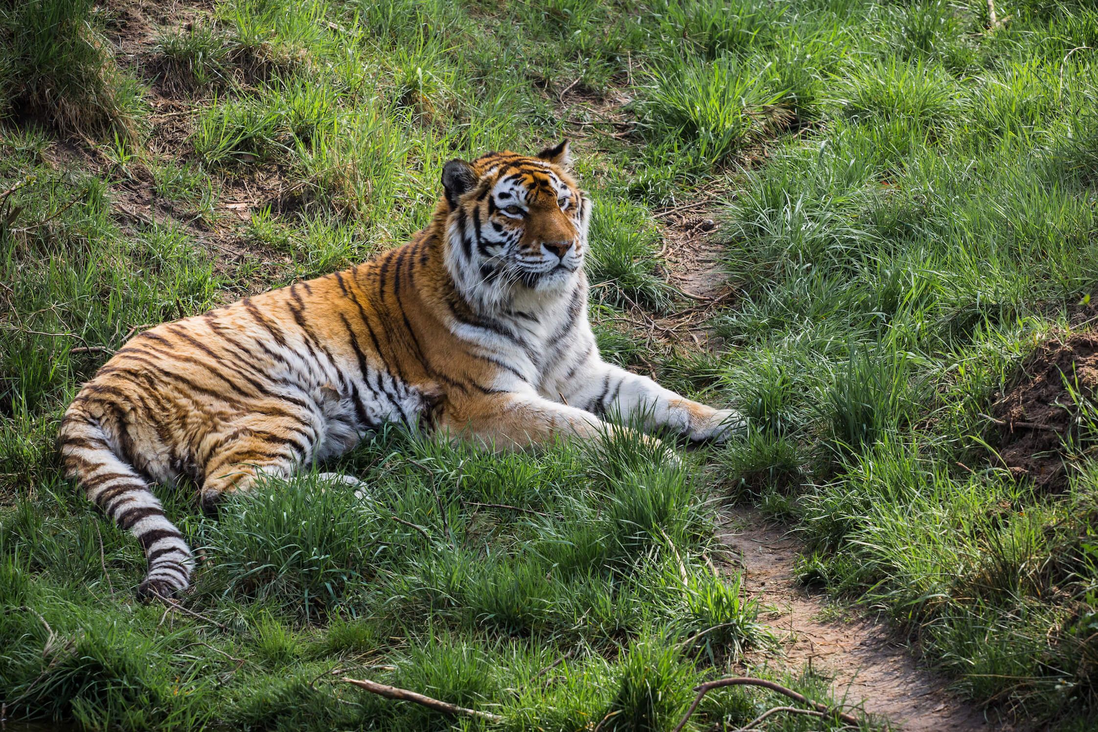 Missing alternative text