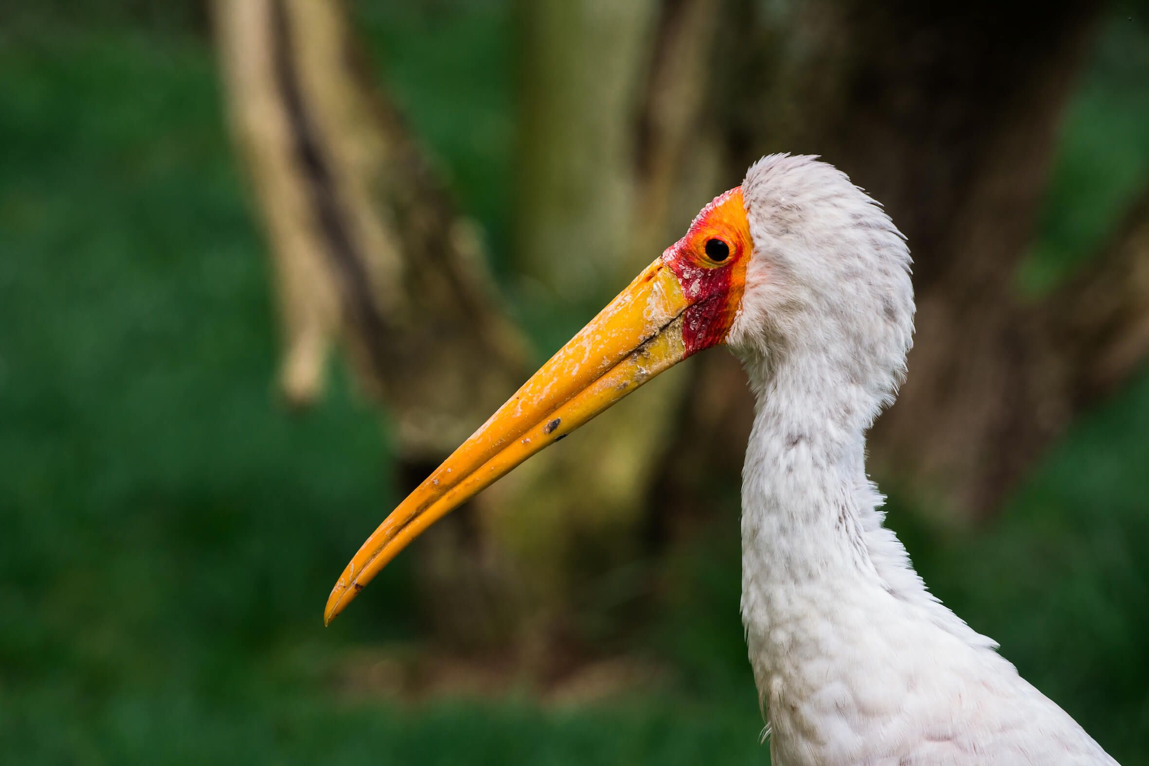 Missing alternative text