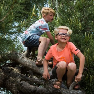 Missing alternative text