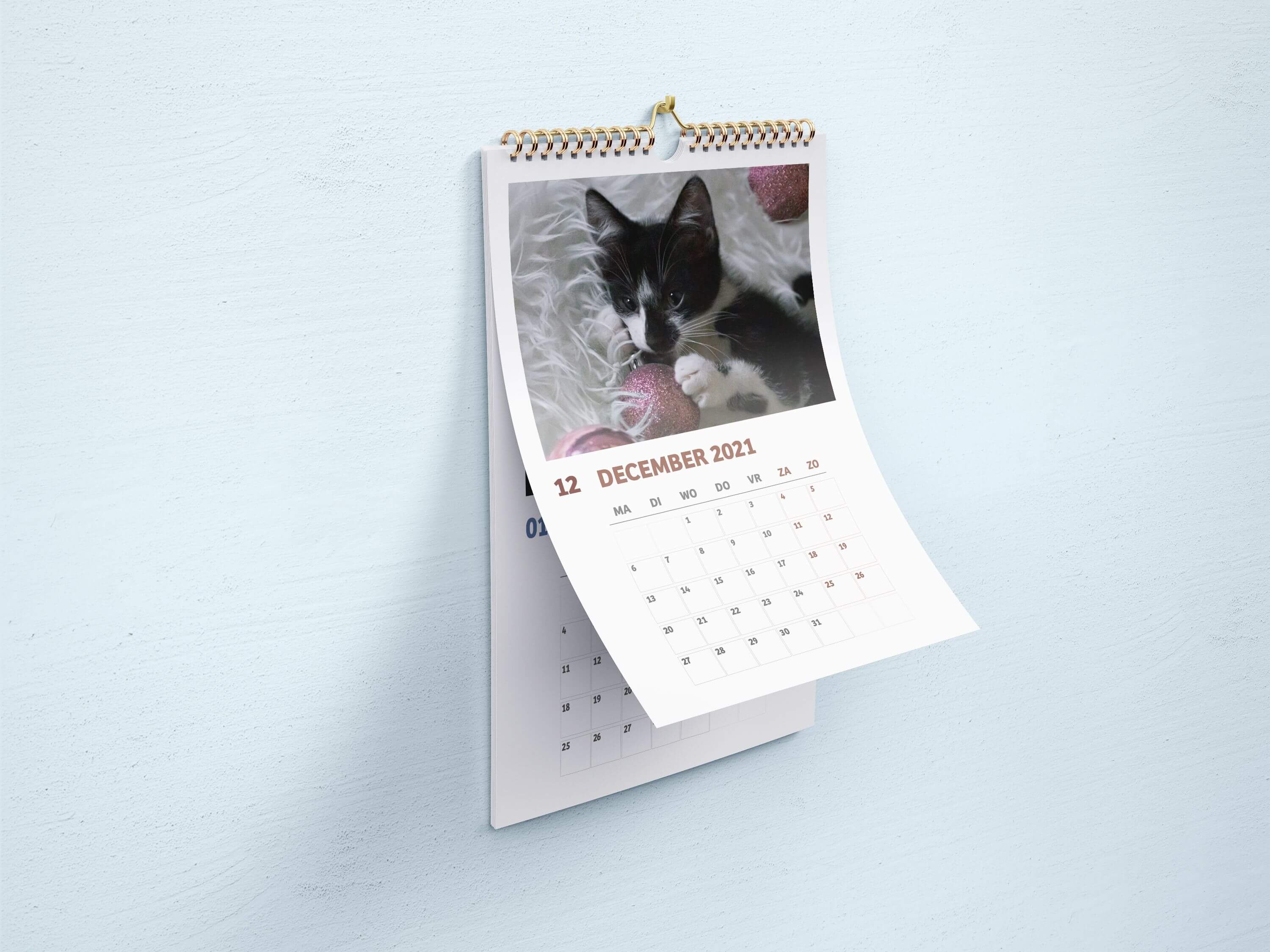 Missing alternative text