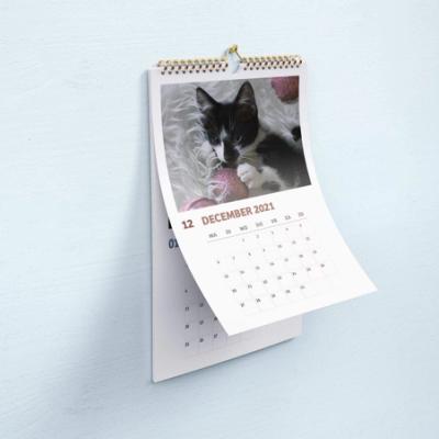 Missing alternative text