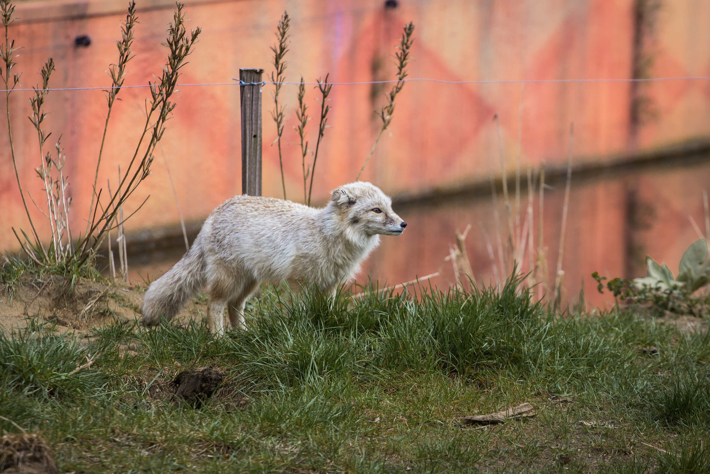 Missing alternative text