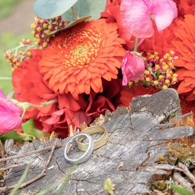 Missing alternative text