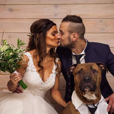 Missing alternative text