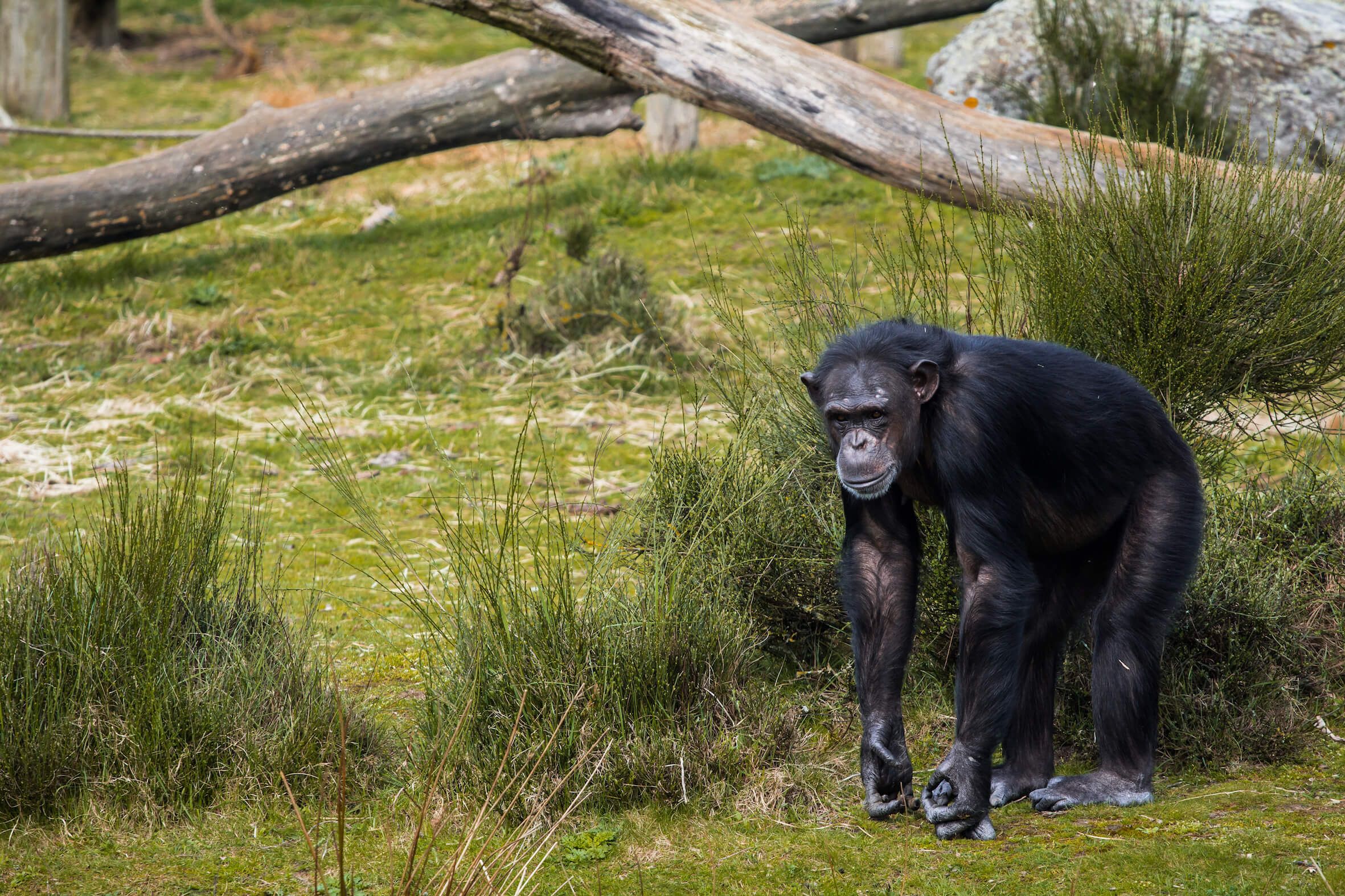 Missing alternative text