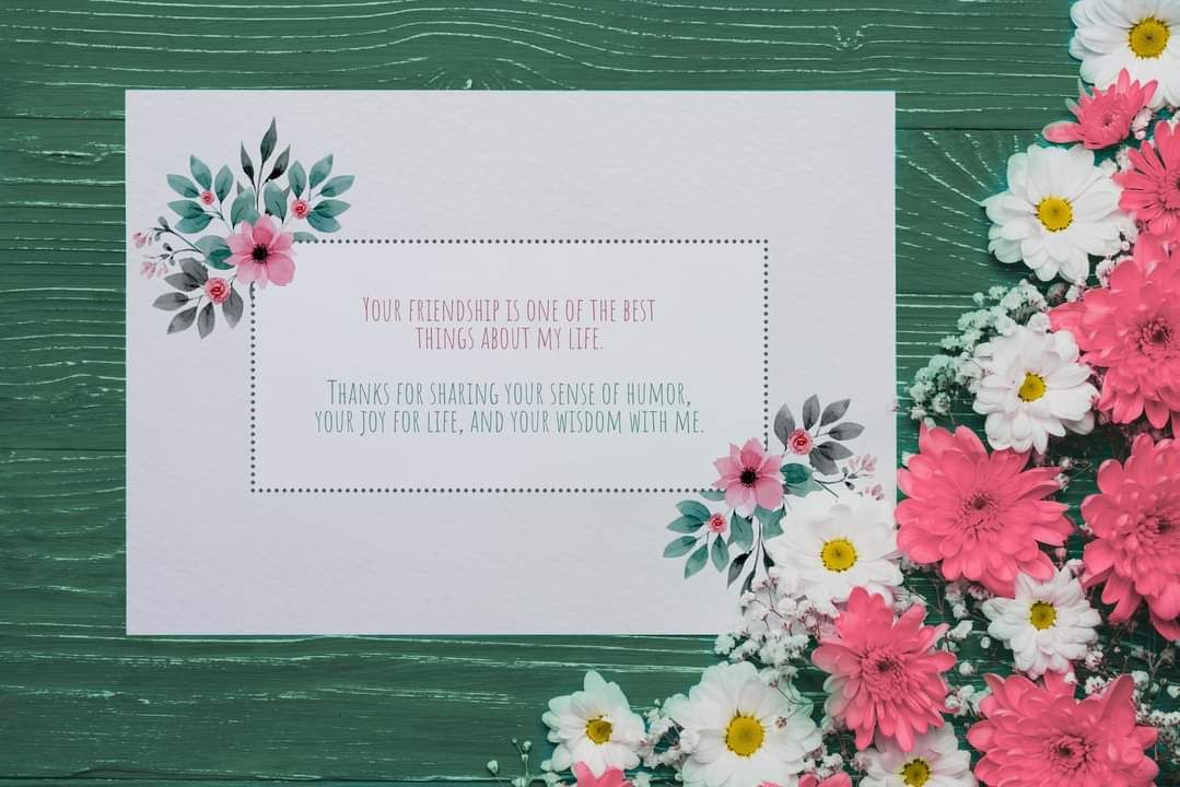 Missing alternative text