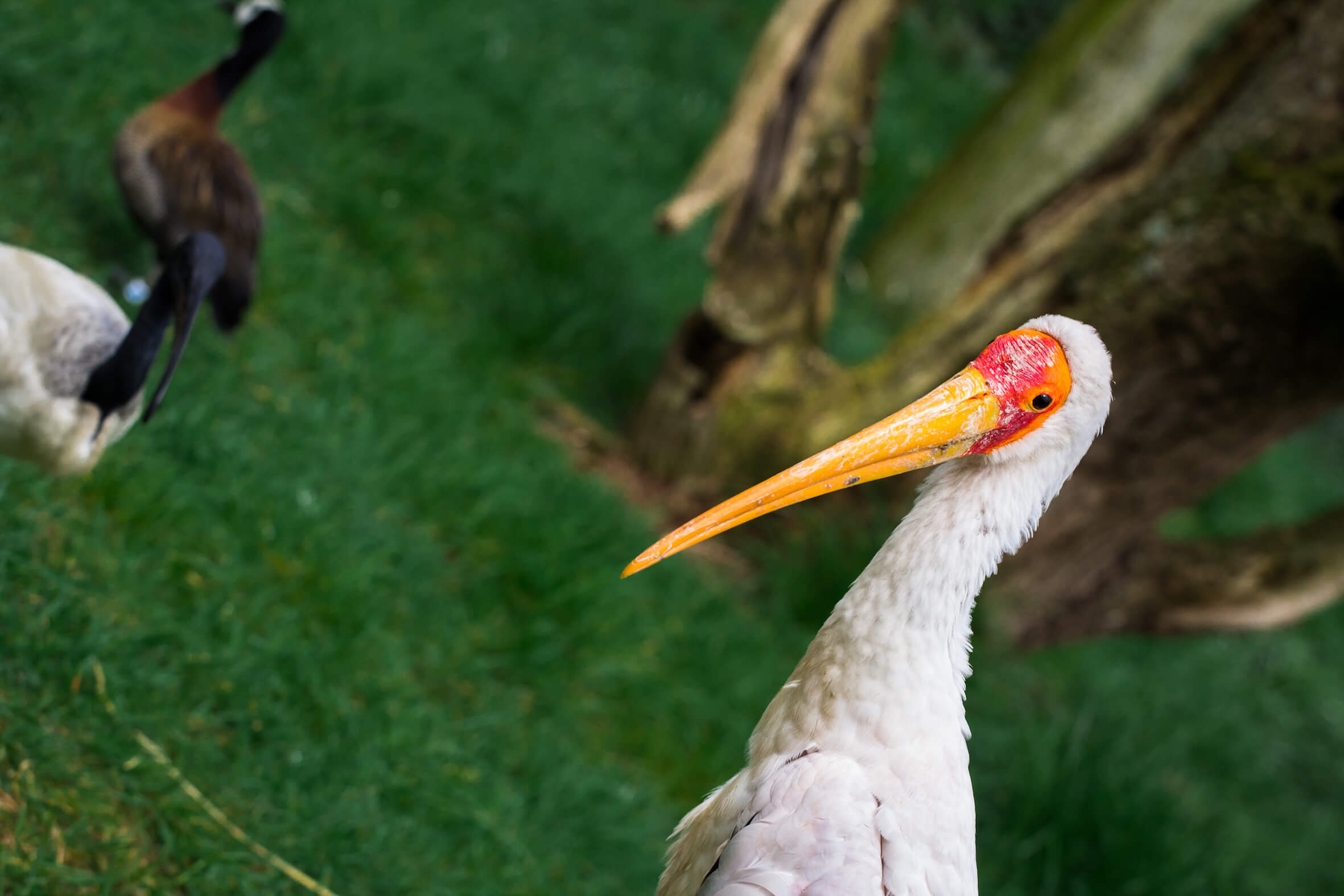 Missing alternative text