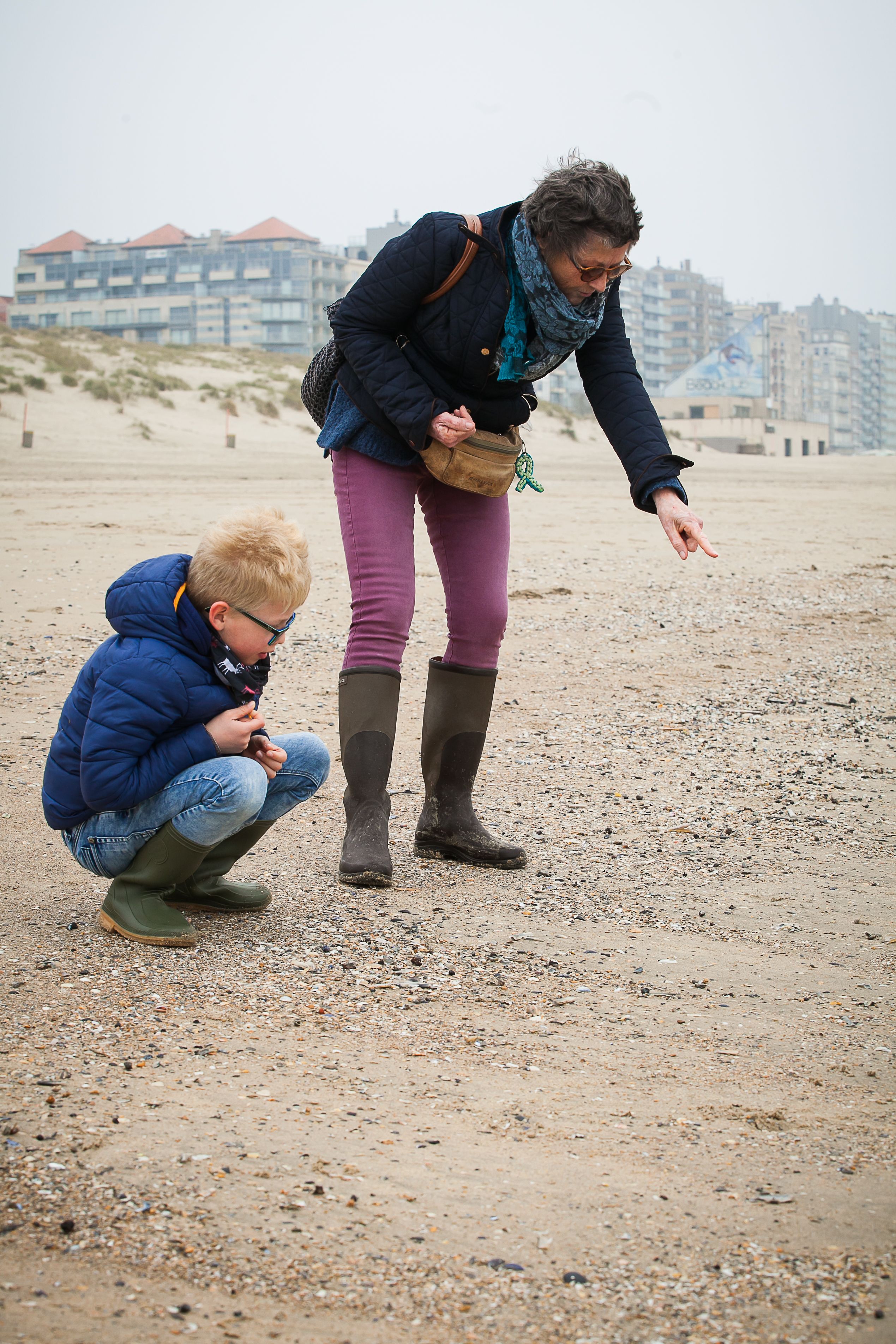 Missing alternative text