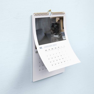 Missing alternative text