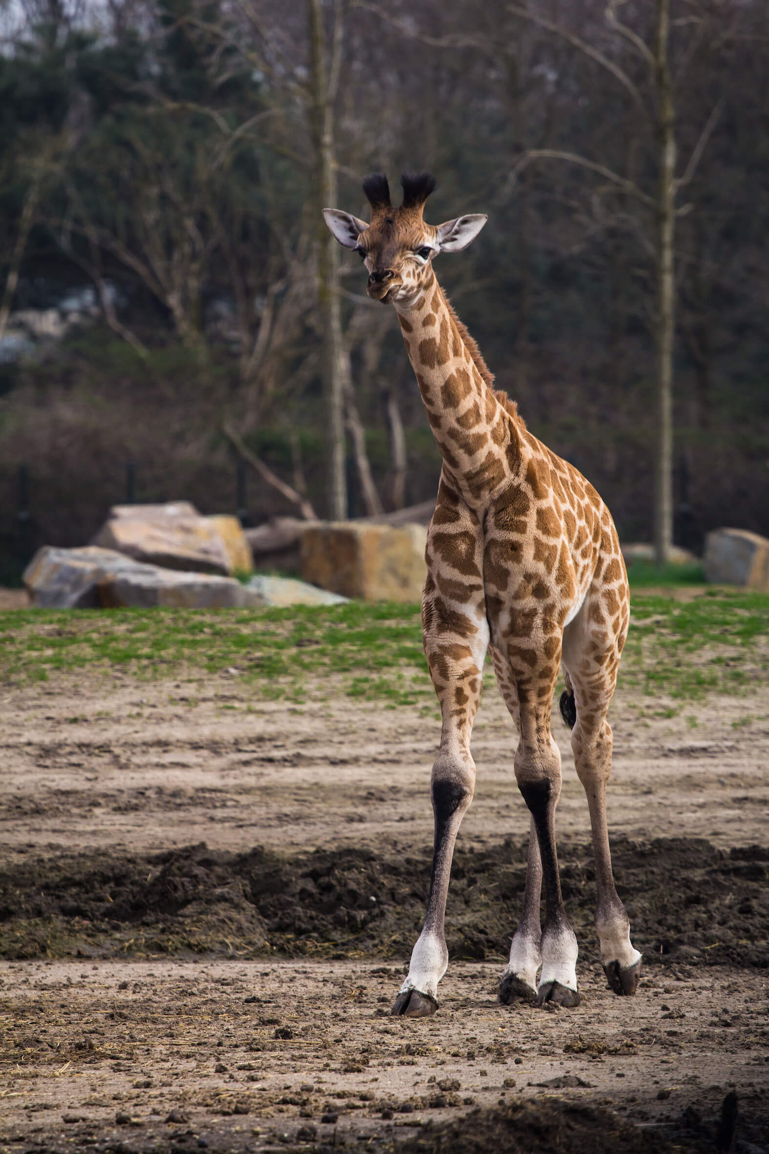 Missing alternative text