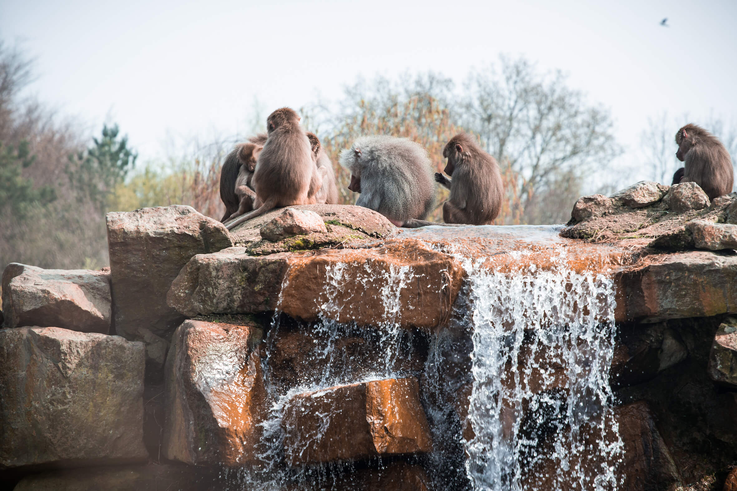 Missing alternative text