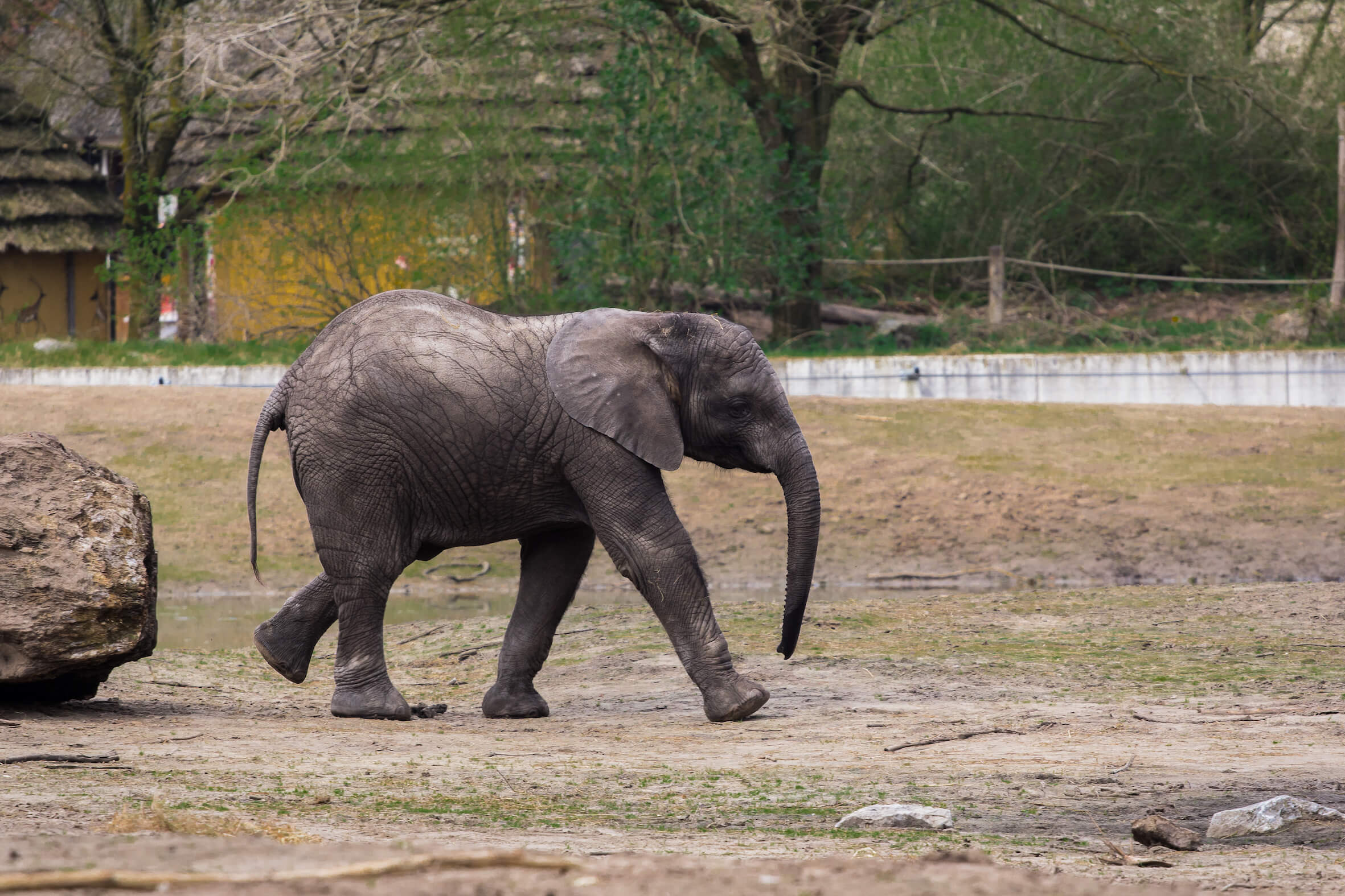 Missing alternative text