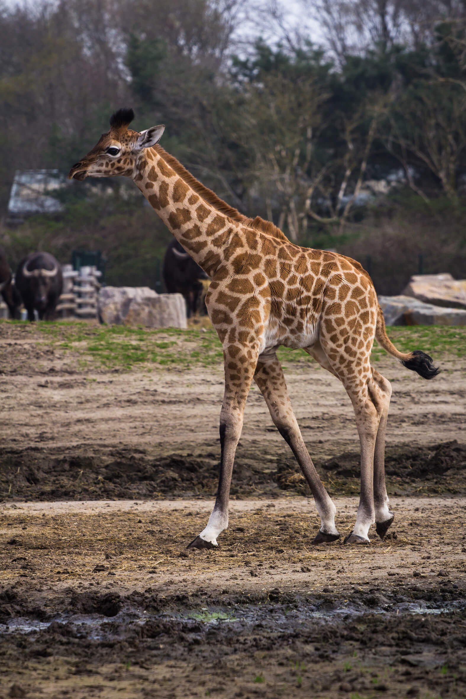 Missing alternative text