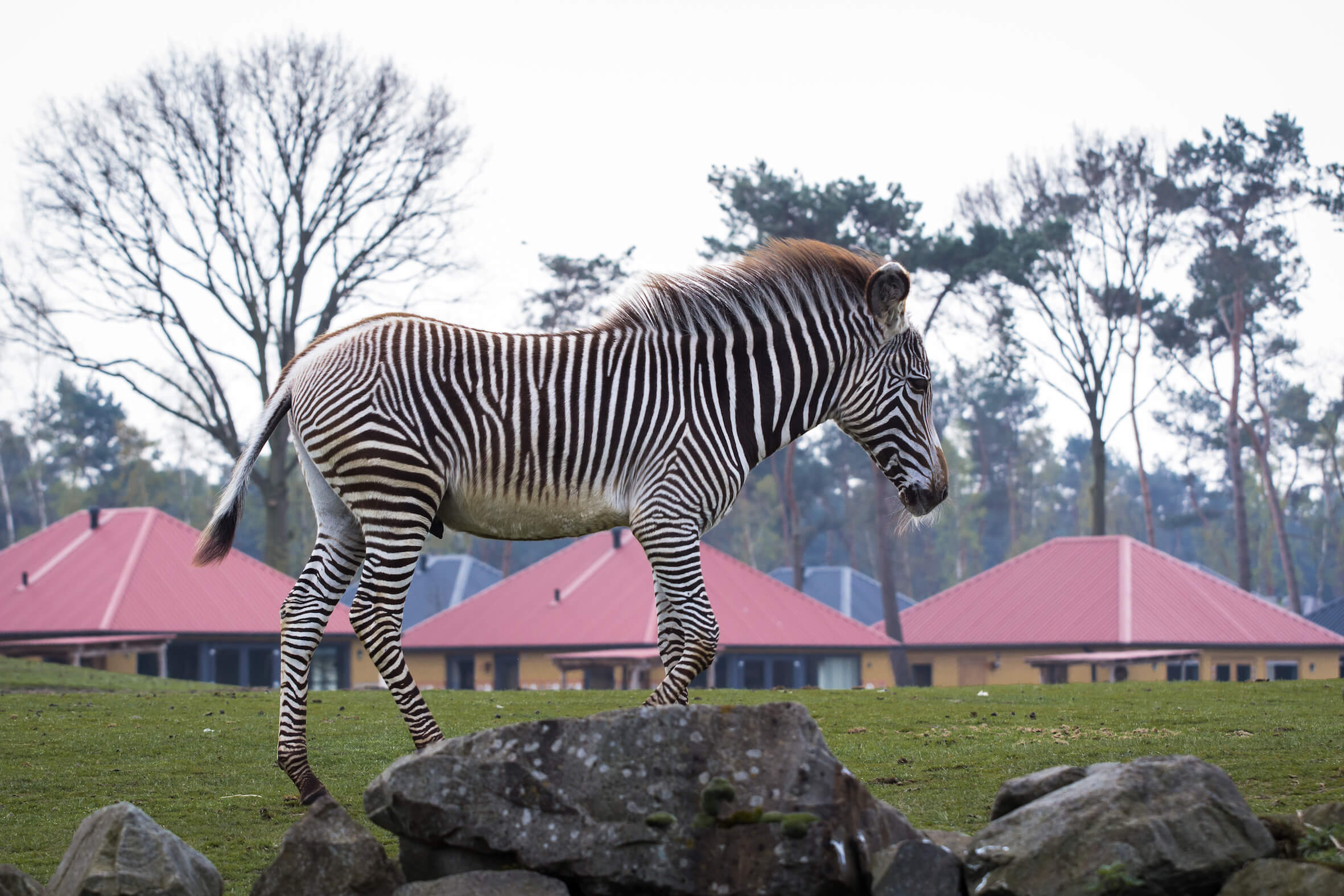 Missing alternative text