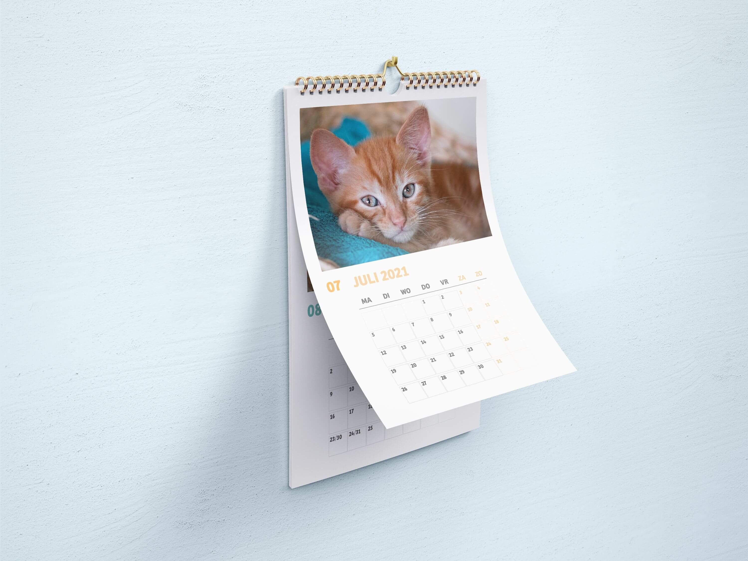 Missing alternative text