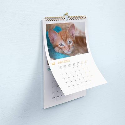 Missing alternative text