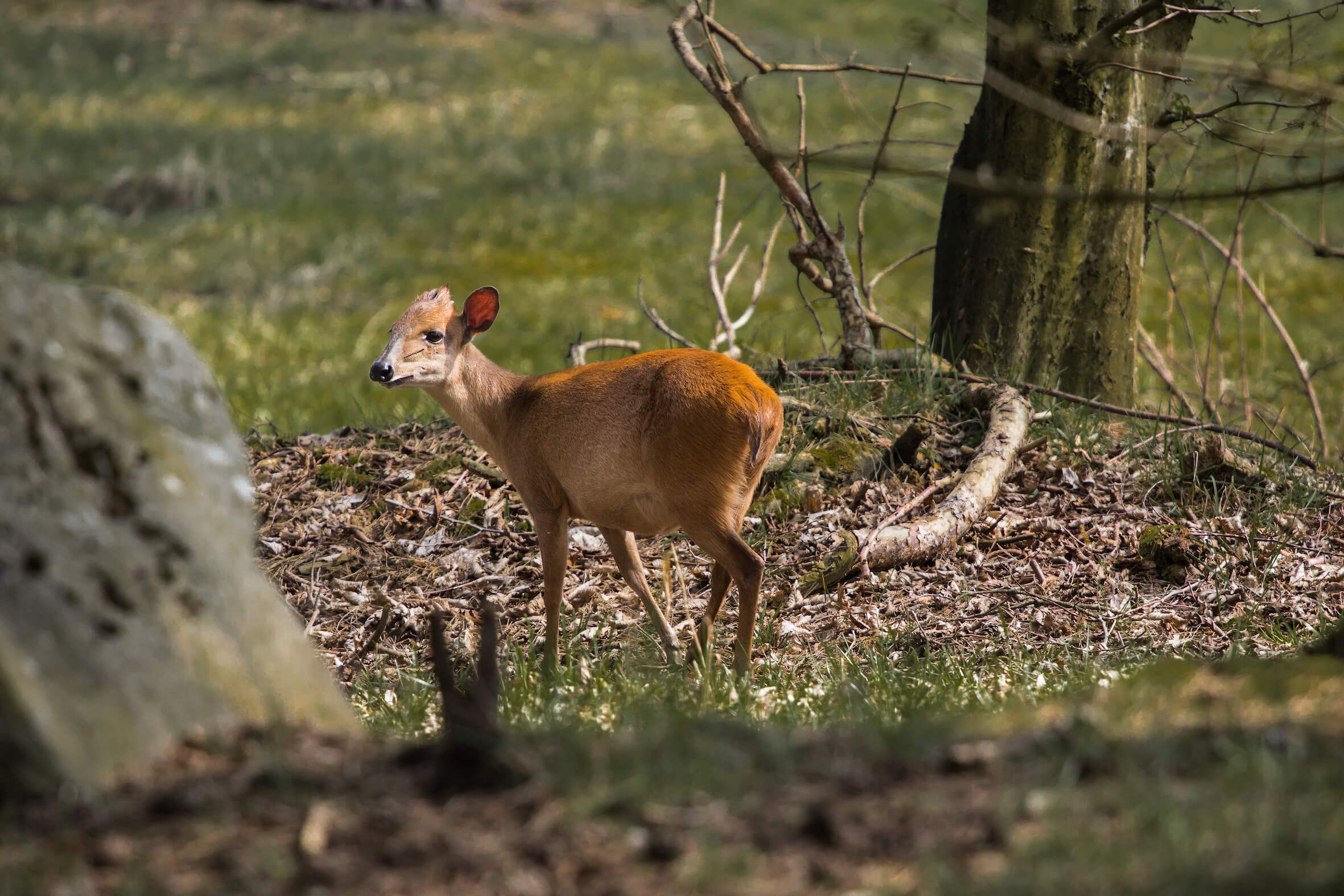 Missing alternative text