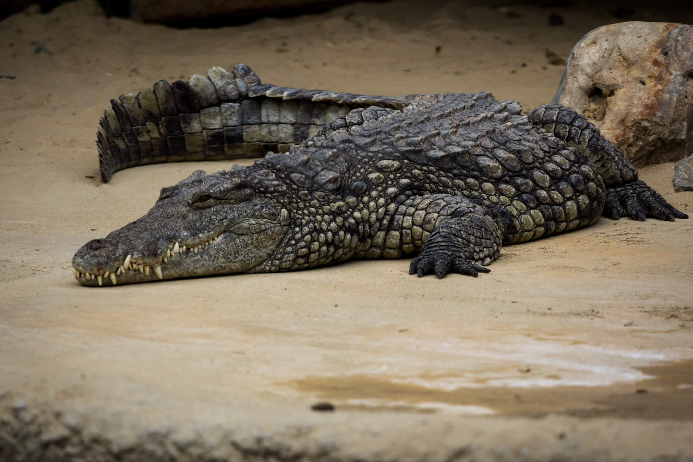 Missing alternative text