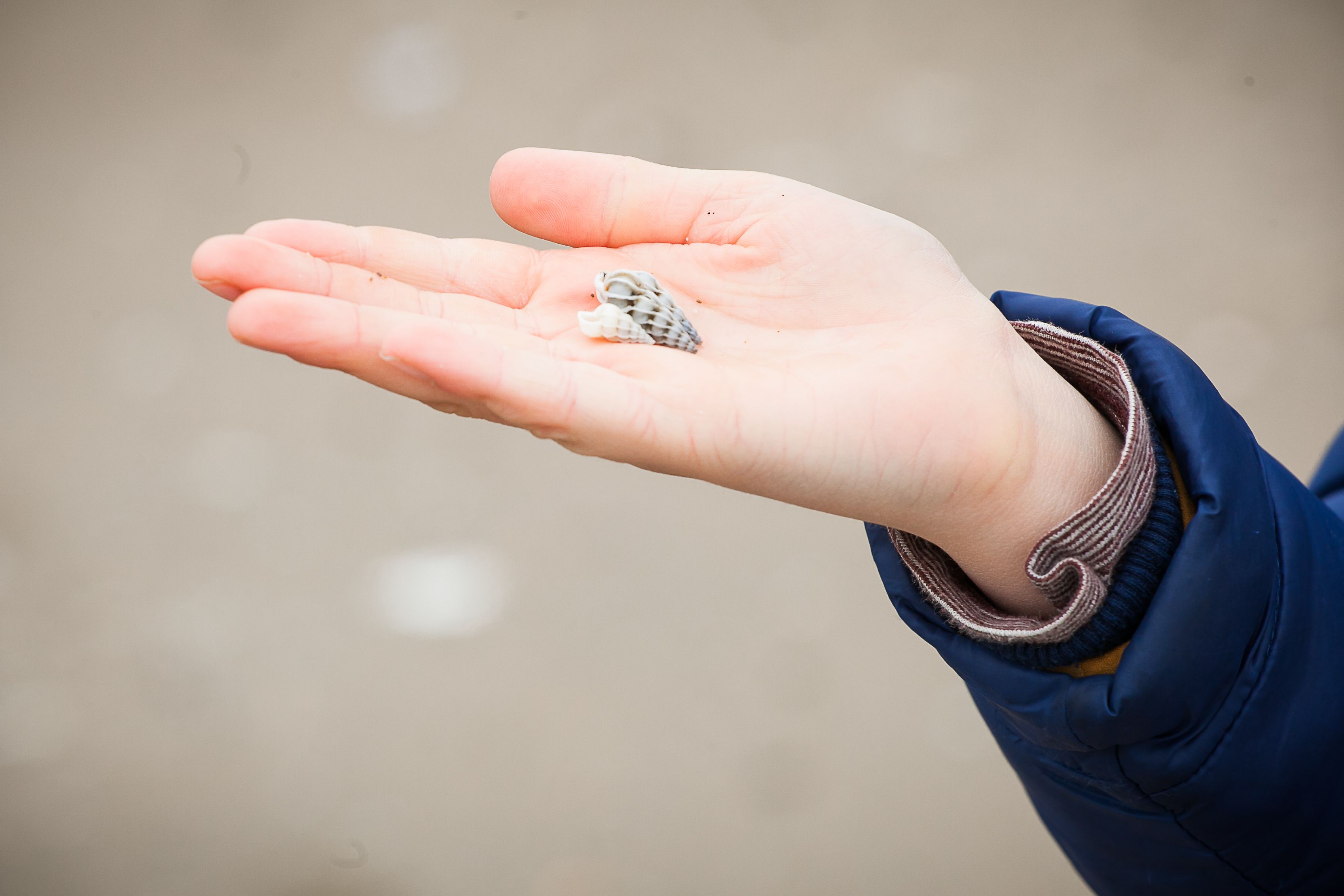 Missing alternative text