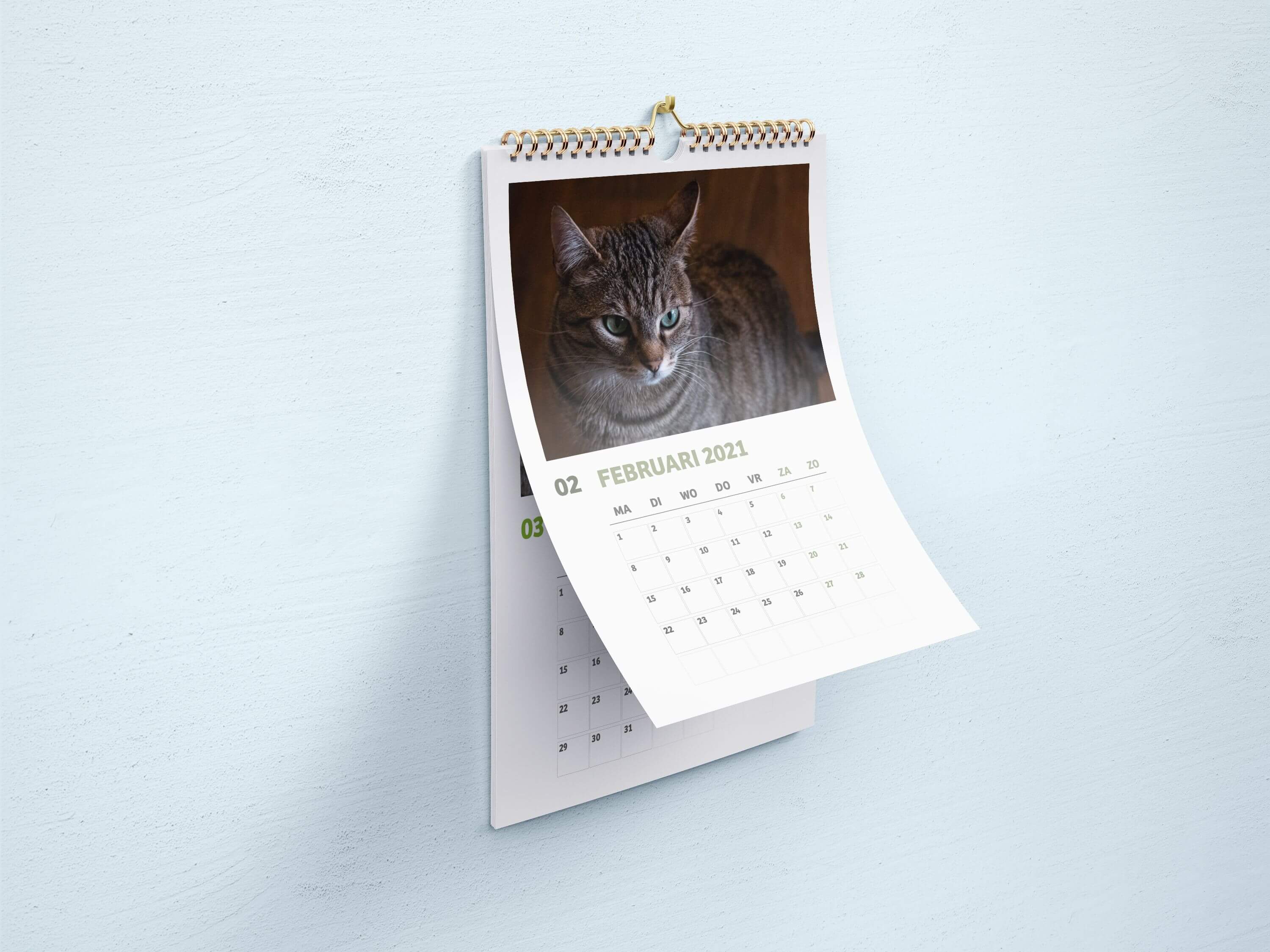 Missing alternative text