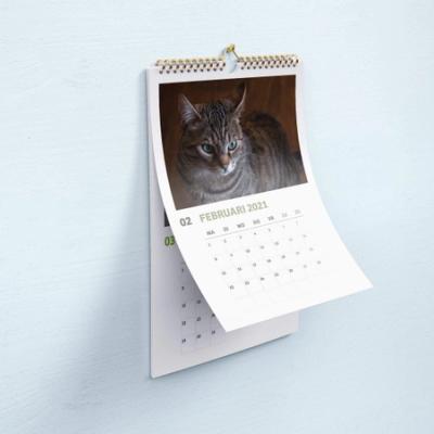 Missing alternative text