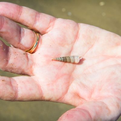 Missing alternative text