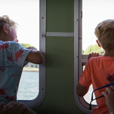 Missing alternative text