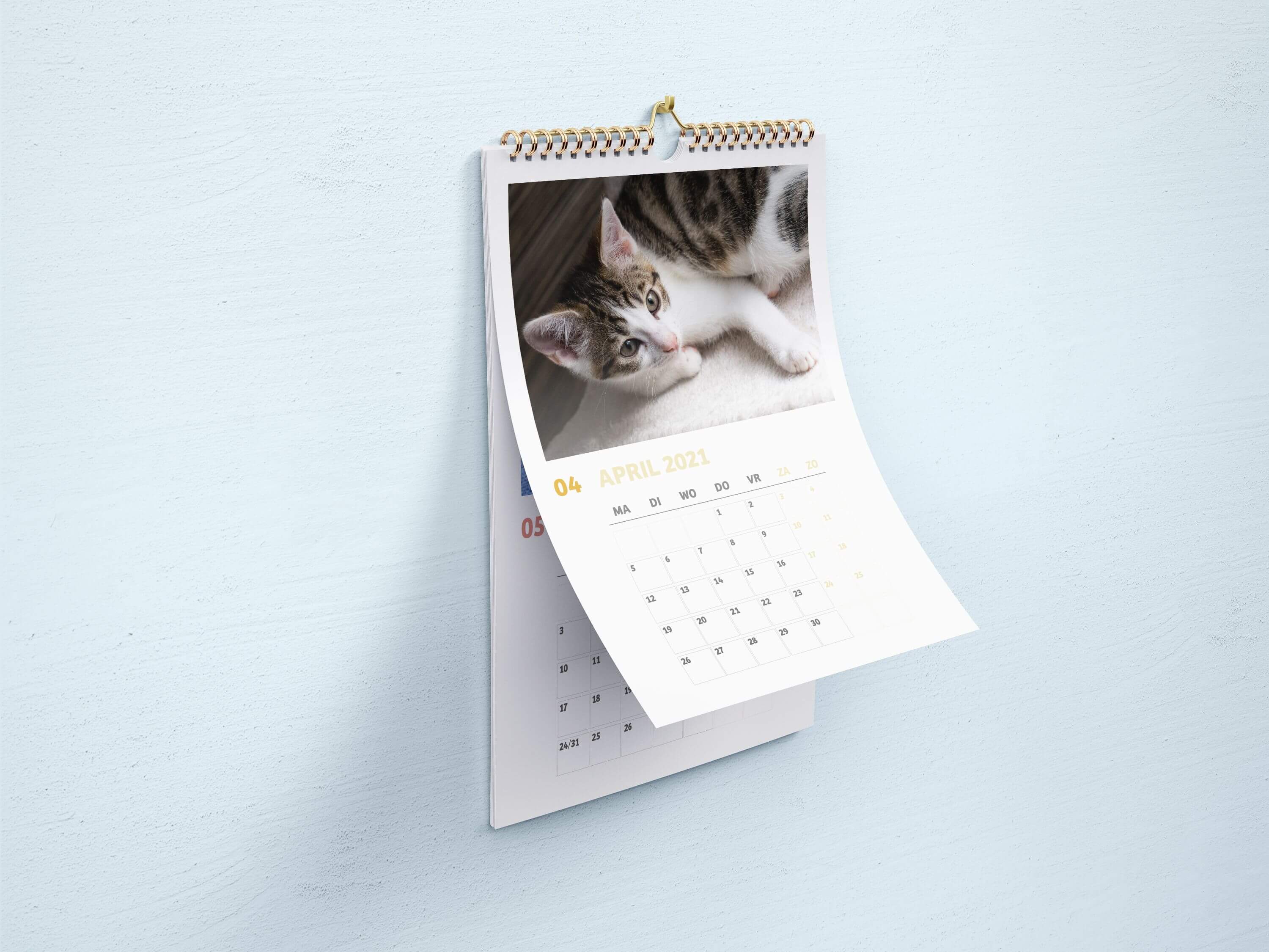 Missing alternative text