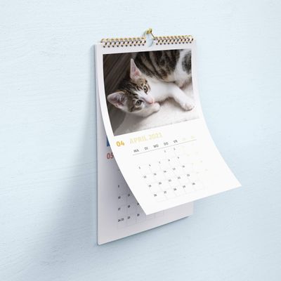 Missing alternative text