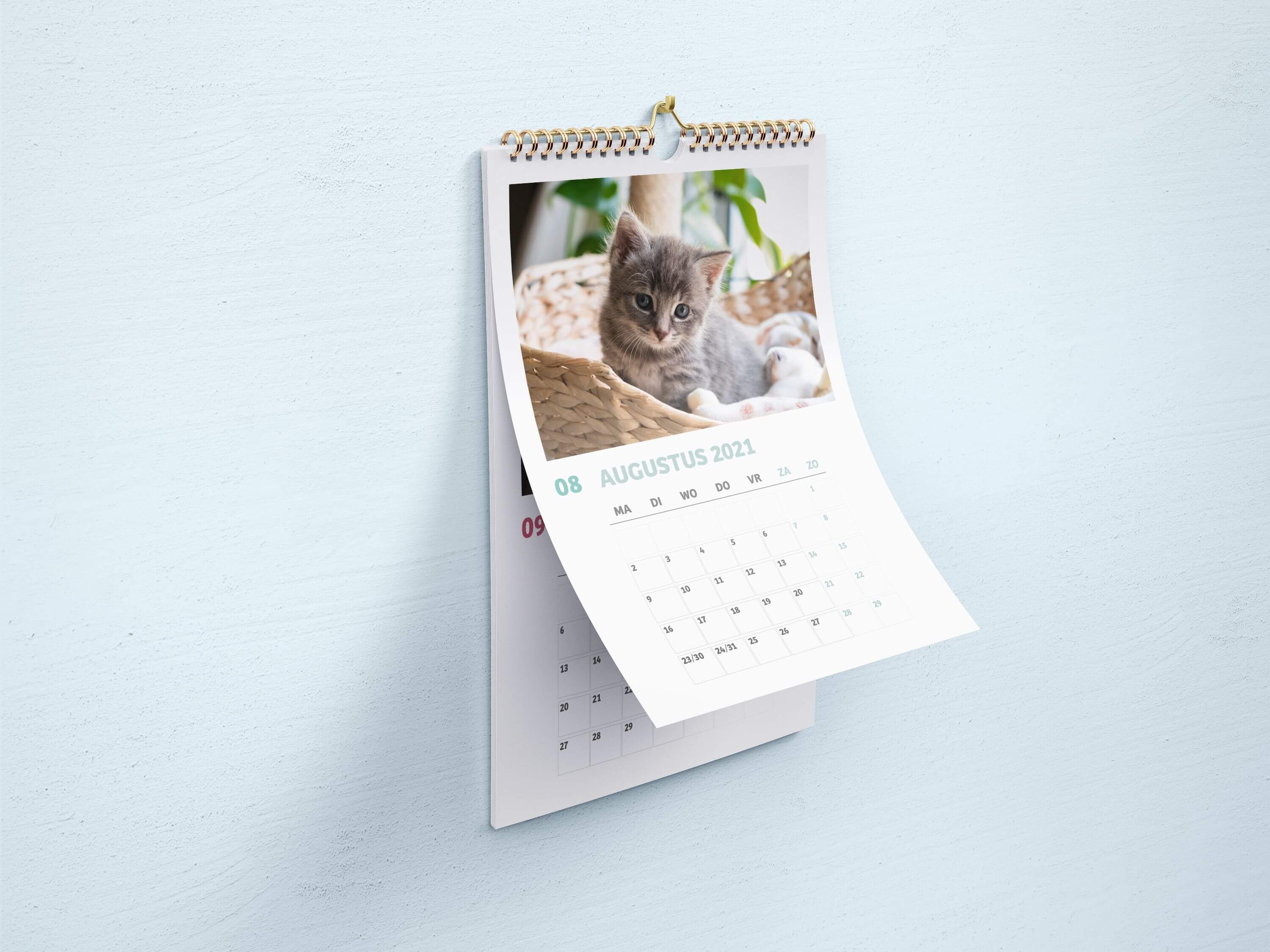 Missing alternative text