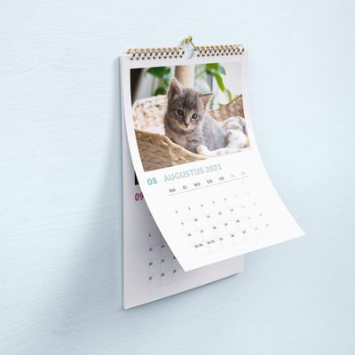 Missing alternative text