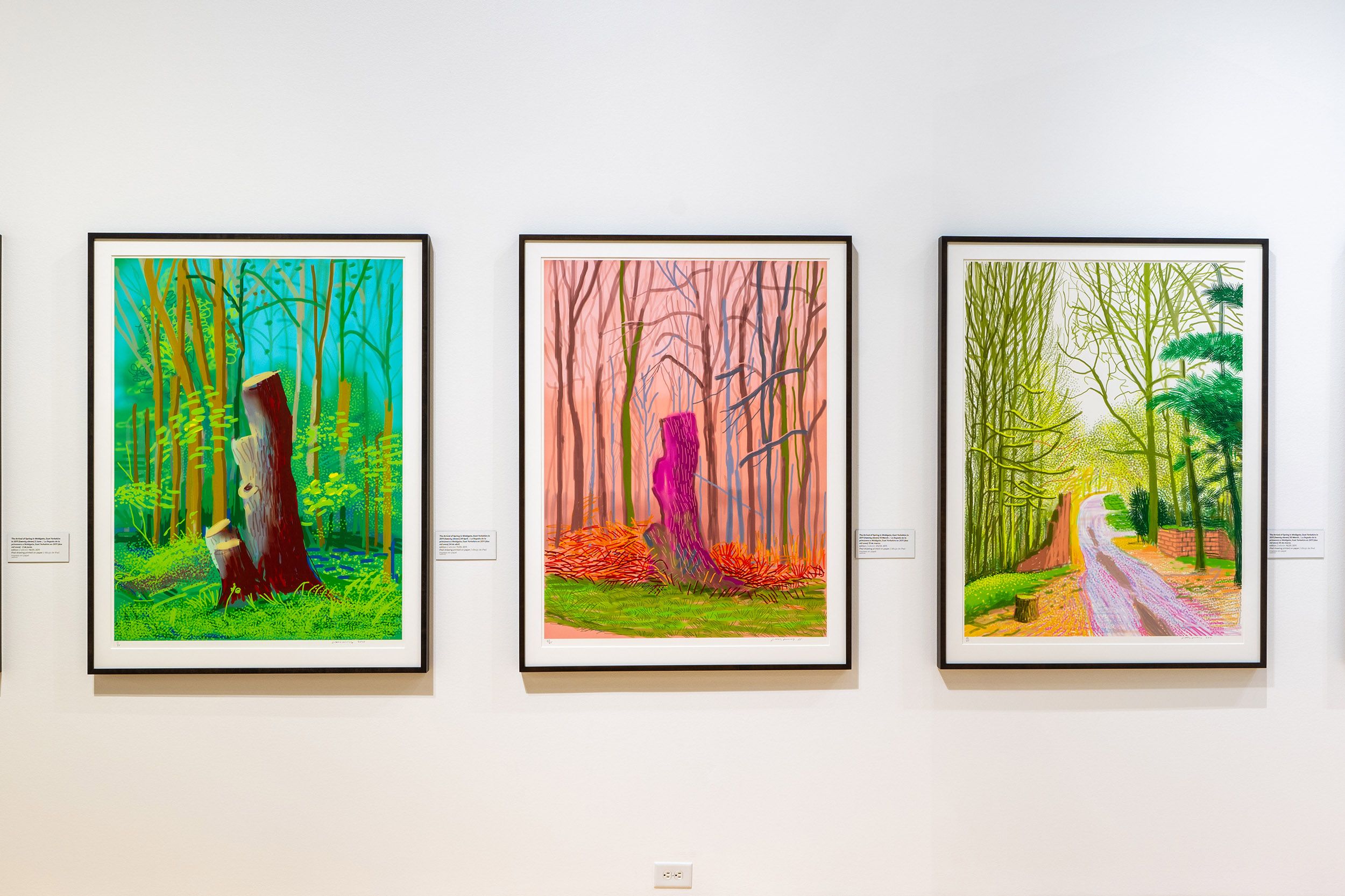 Exhibitions?tag=current | Jordan Schnitzer Family Foundation