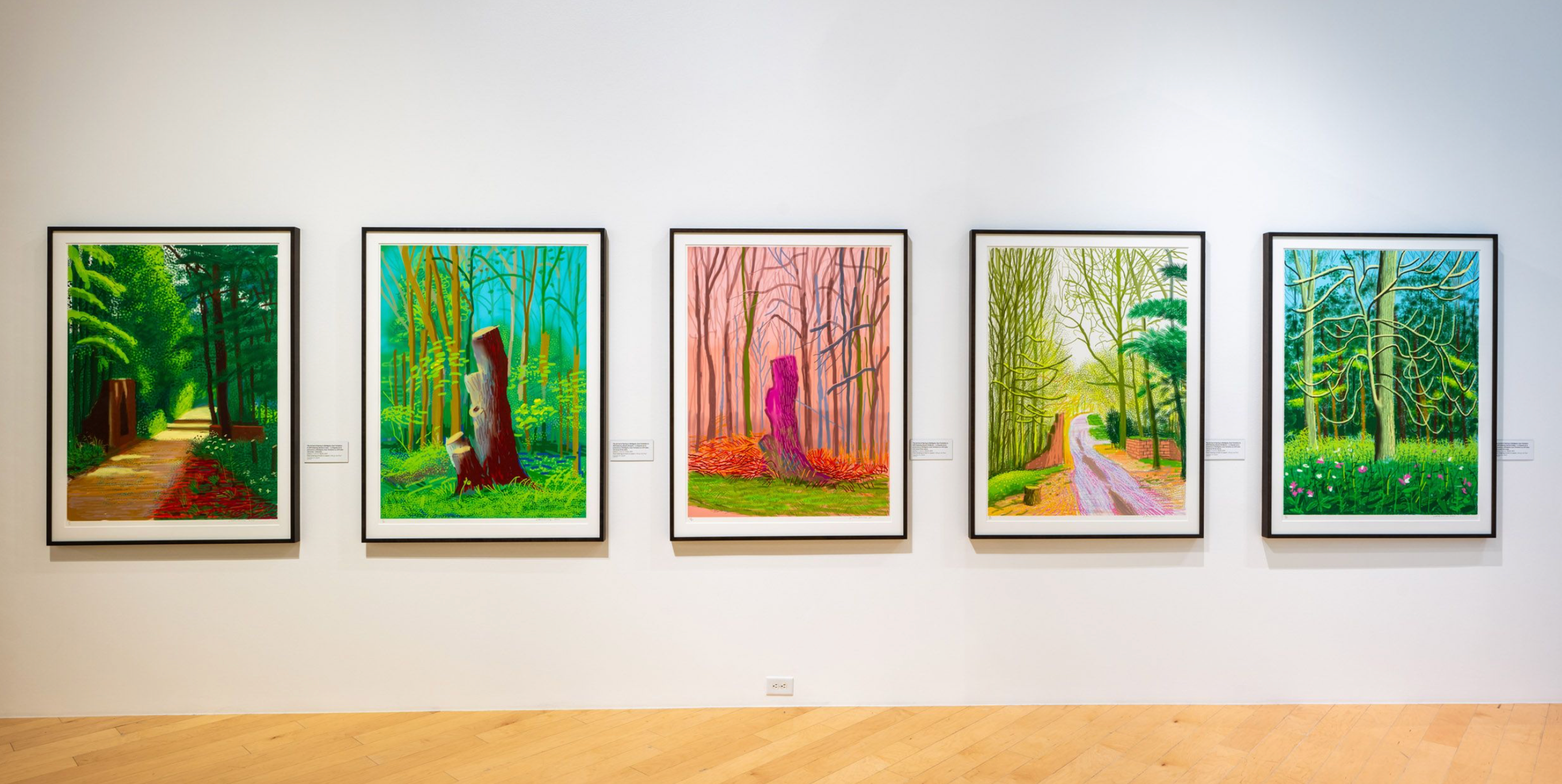 David Hockney: Perspective Should Be Reversed